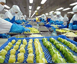 富士通為生鮮食品廠定制潔凈方案，助力食品廠美好環(huán)境建設(shè)