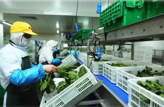 食品廠 食品廠